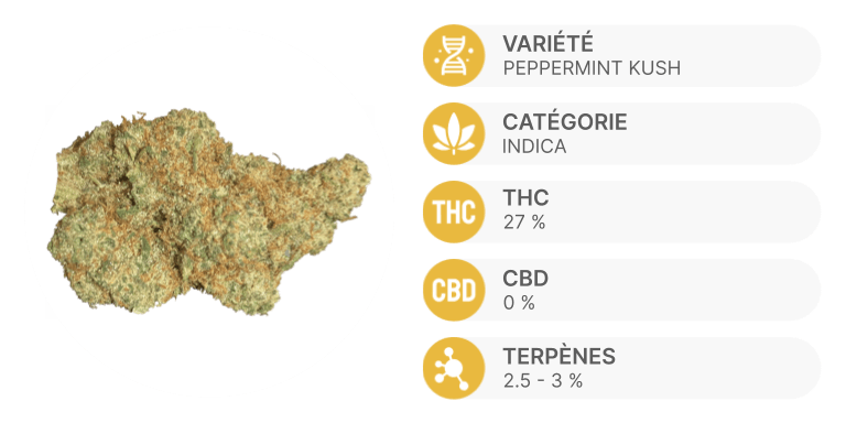 Peppermint Kush